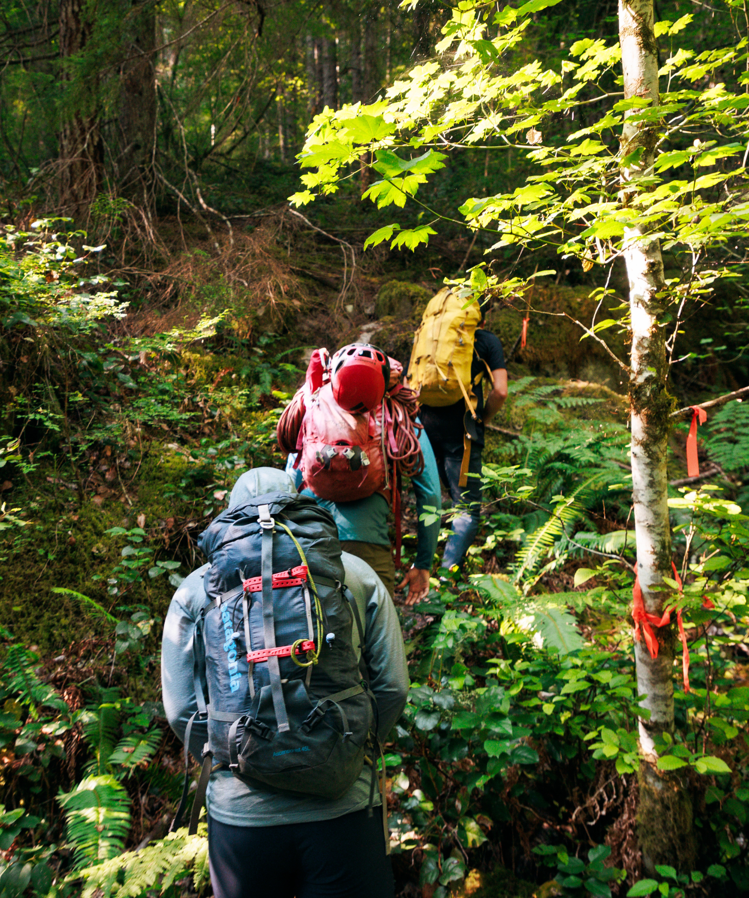 The Approach Hike To Tower Rock, WA to Climb Rapunzel's Back In Rehab while wearing NW Alpine Fortis. 