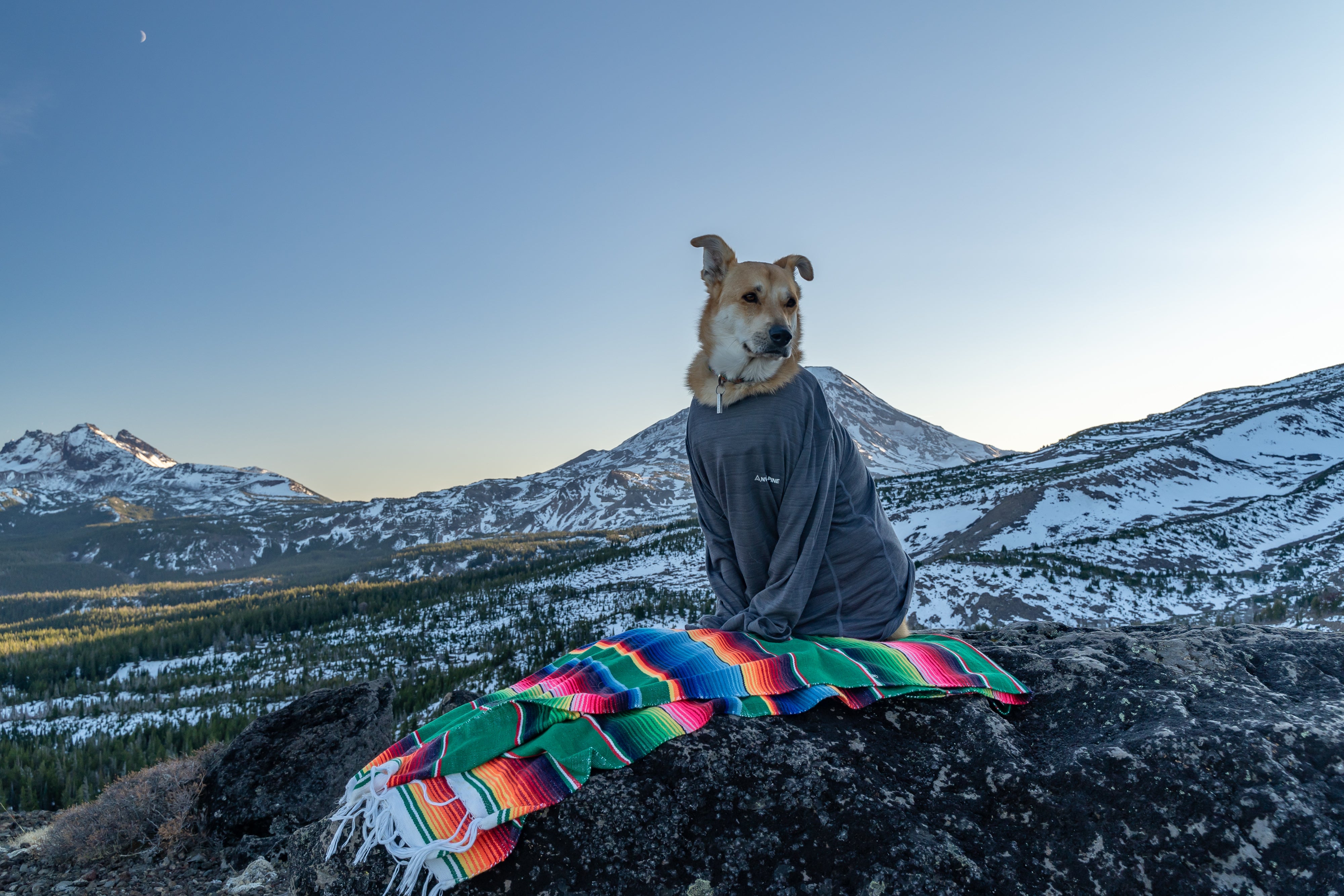 New Era Buffalo Bills Alpine Ski Shirt - Peanutstee